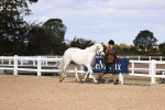 SBM_14359