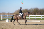 SBM_004368
