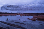 20140301-3K8A9199