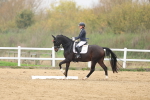 SBM_007850