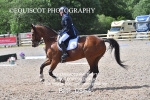 BPP_0564