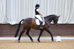 SBM_009240