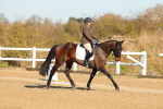 SBM_003740