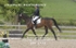 BPP_6779
