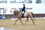 SBM_001662