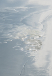 MELT #3 - LAKE ERIE