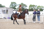 SBM_01480