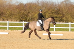 SBM_004565