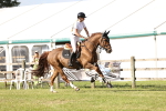 SBM_09976