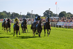 060926-Race 5-Extremely Zain-8377