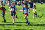 Cumbria XC-87