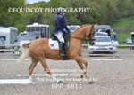 BPP_6811