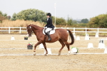 SBM_001297