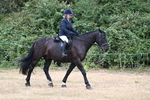 WJ7_0968