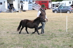 WJ6_6838
