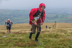 Fellside-374