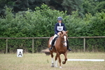 WJ6_0689