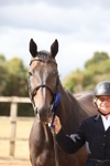 Class 5 - Retraining of Racehorses portfolio