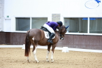 SBM_002487