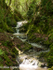 Glaslaw Burn Waterfall, 3