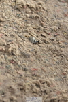 231013A-104044-01364