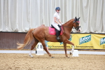 SBM_010213