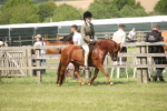 SBM_07671