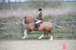 SBM_007241