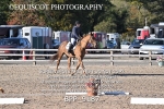 BPP_9187