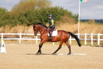 SBM_009433