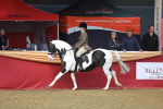 SBM_10596