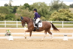 SBM_001886
