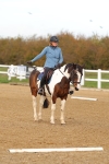 SBM_000774