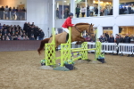 SBM_003762