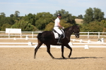 SBM_003904