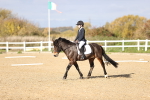 SBM_000983