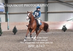BPP_6747