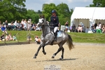 159-HATHAWAY_ROYALE-Izzy_Taylor-SUNTrotUp+SJ portfolio