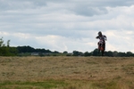 DSCF0937