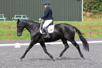 SIAL9801