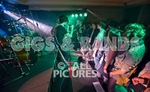 FEEDBACK at RoA-8 portfolio