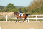 SBM_000202