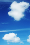 Cumulus-3138