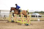 SBM_025490