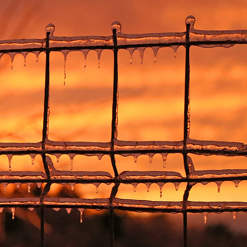 Glazed over construction site safety fencing near the Renforth Lighthouse.