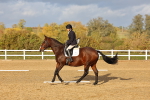 SBM_002811