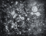 GALACTIC ICE BUBBLES - NORFOLK COUNTY