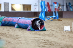 SBM_005459