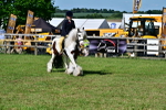SBM_09406