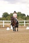 SBM_006375